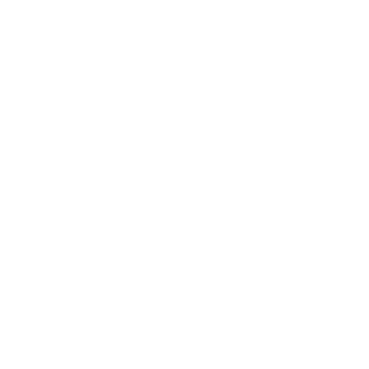 dent dent